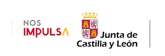 Junta de Castilla y León